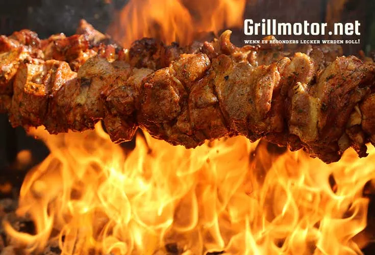 Grillmotor mit Spieß und Ausgleichsgewicht