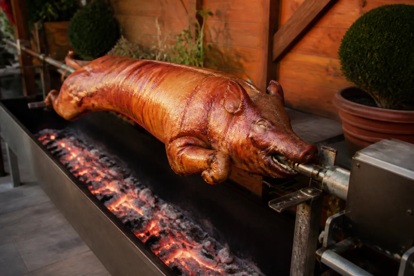 Spanferkel am Drehspieß über einer langen Glutbahn